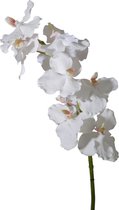 Viv! Home Luxuries Orchidee Vanda - zijden bloem - wit - 84cm - topkwaliteit