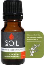 Soil - Biologische Etherische Cipres Olie - 10 Ml - Cupressus Sempervirens