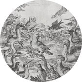 Muurcirkels FBRK. Parlement van Vogels Reboard 50 cm - Foto behang - wanddecoratie