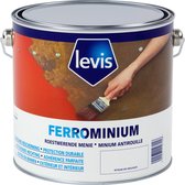 Levis Ferrominium - Wit - 2.5L