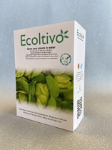 ECOLTIVO blonde sla - hydrocultuur (groeit op water)