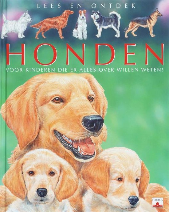 Foto: Honden