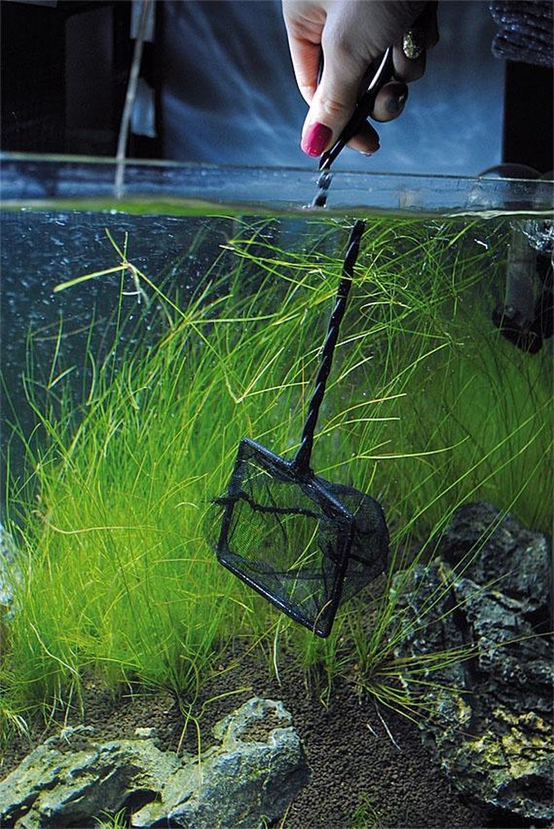 Schepnetje / Visnetje - Aquarium (7,5cm)