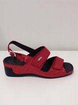 Vital 146505 maat 41 rood