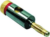 Banaan connector voor luidsprekerkabel tot 6 mm - metaal / verguld / rood
