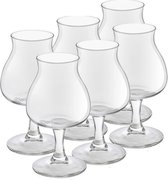 12x speciaal bierglazen/tulpglazen transparant 250 ml Lund
