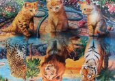 Diamond painting Poezen worden Groot maat 40x50
