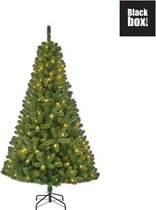 Black Box Trees Charlton Kunstkerstboom met LED Verlichting - H215 cm - Groen