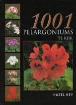 1001 Pelargoniums Te Kijk
