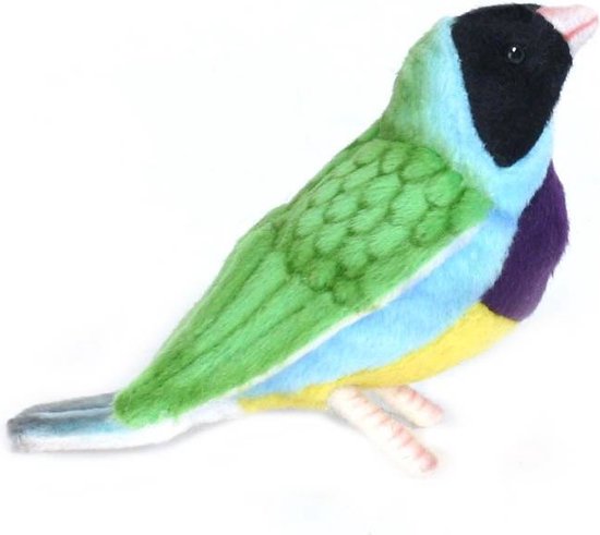 Foto: 