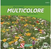 Somers zaden - Bloementapijt multicolore