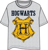 Harry Potter Hogwarts adult t-shirt