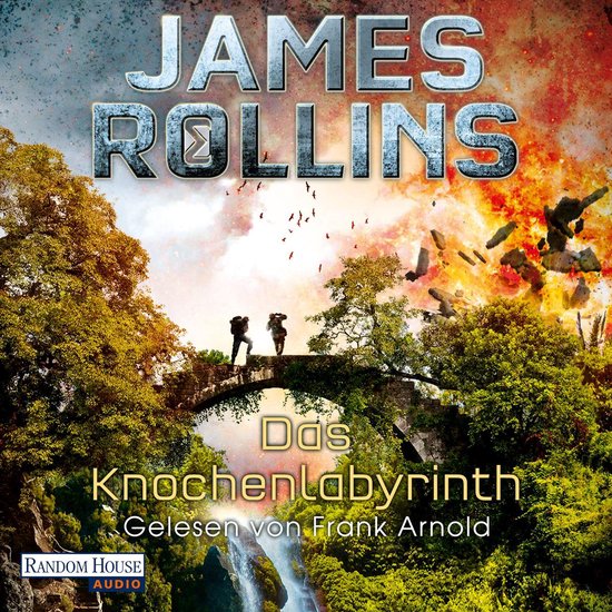 Das Knochenlabyrinth - cover