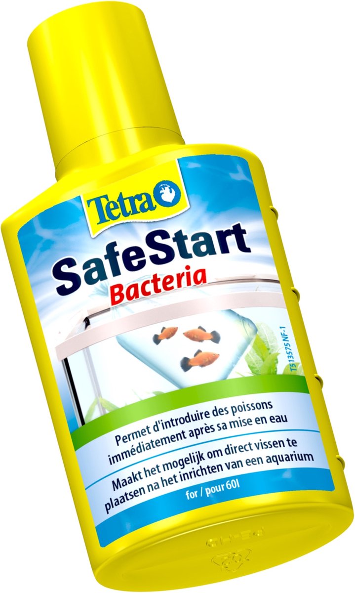 Tetra outlet safe start