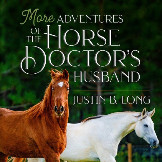 More Adventures of the Horse Doctor's Husband - cover