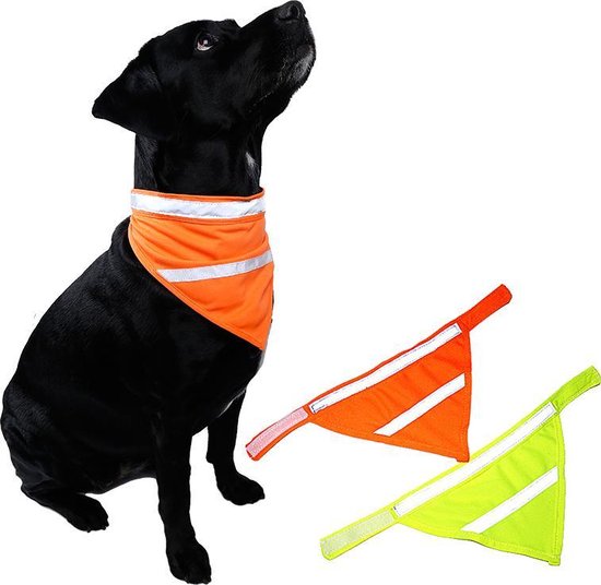 Collier de sécurité réfléchissant pour chiens en tissu fluorescent - JAUNE  - PETIT | bol.com