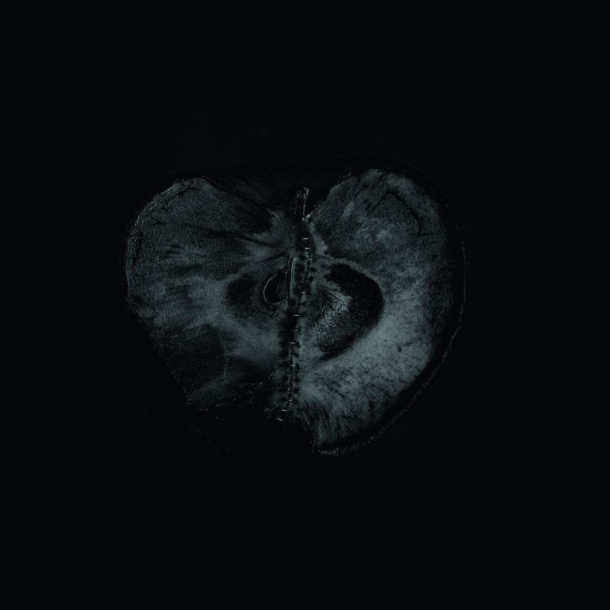 Symphomy Of Dying