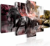 Schilderij - Zwart Paard voor Waterval V, Wanddecoratie , print op canvas , 5luik