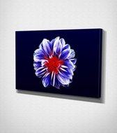 Multicolored Flower Canvas - 60 x 40 cm - Bloemen - Schilderij - Canvas - Slaapkamer - Wanddecoratie  - Slaapkamer - Foto op canvas