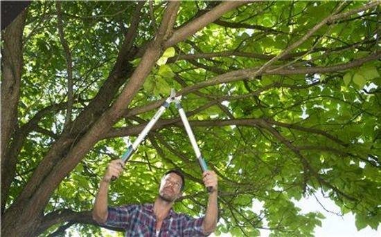 GARDENA EASYCUT 680 B TAKKENSCHAAR + 8754 SNOEISCHAAR SET — afbeelding 2