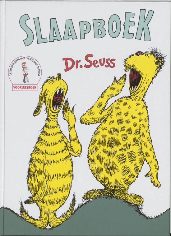 Cover van het boek 'Het slaapboek'