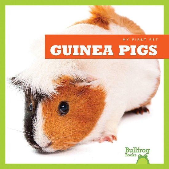 Guinea Pigs - cover
