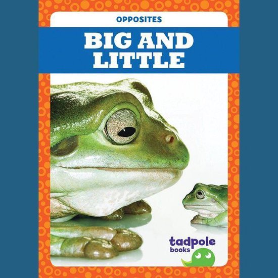 Big and Little - cover