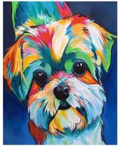 JDBOS ® Schilderen op nummer Volwassenen - Gekleurde Maltezer hond - Verven volwassenen - 40x50 cm