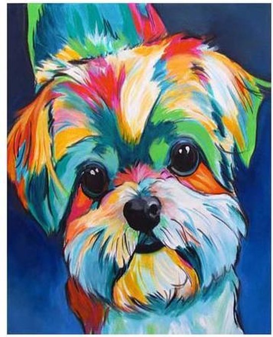 JDBOS ® Schilderen op nummer Volwassenen - Gekleurde Maltezer hond - Verven...  | bol.com