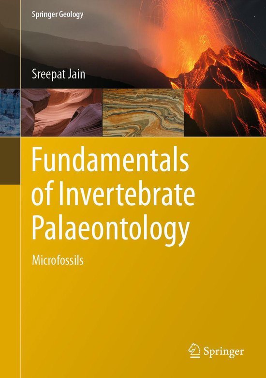 Earth and Environmental Science (R0) - Fundamentals of Inver ... - cover
