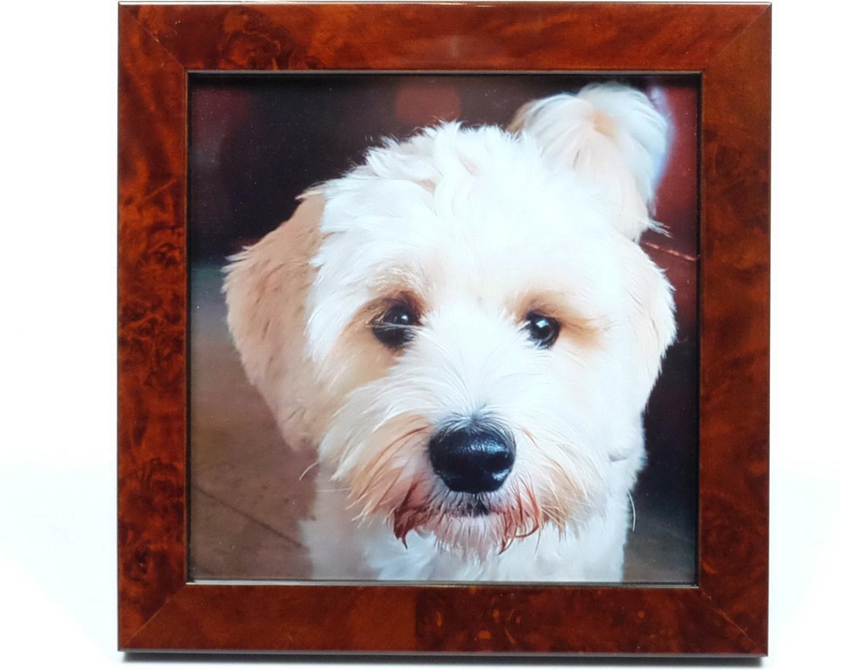 Alle lijsten AL - Wortelnoten Fotolijst - 25 x 25 cm rood bruin10