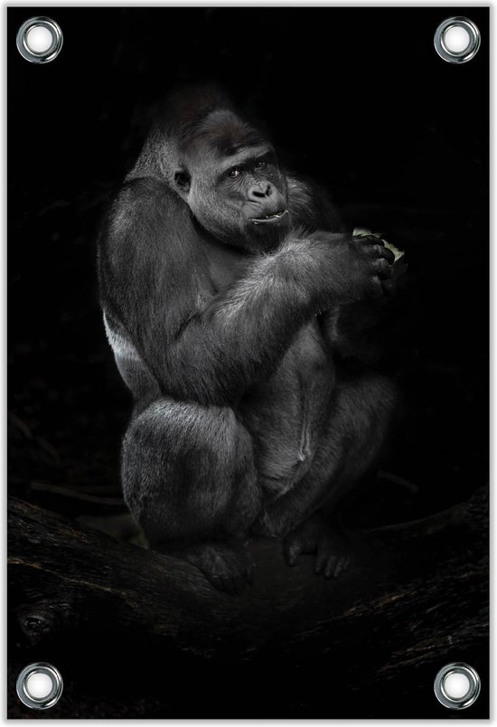 Tuinposter –Gorilla met Zwarte Achtergrond– 30x40cm Foto op Tuinposter (wanddecoratie voor buiten en binnen)