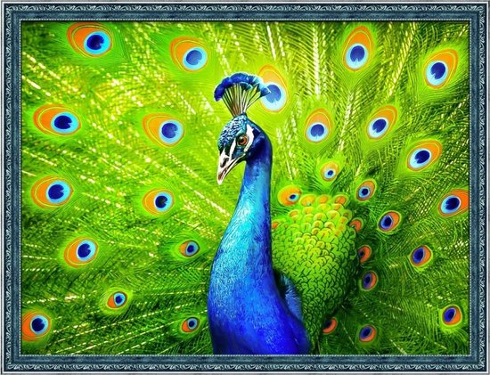 Diamond Dotz - Blue Peacock - 84cm