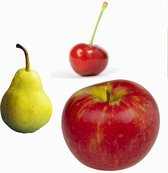 Boom - Drie soorten fruit: Braeburn, Gala (appel), Conference (peer) en Athos (kers), 9 cm pot