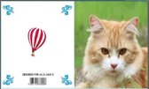 Jul And Julie Kit | Diamond painting Liggende Kat