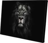 Canvasdoek Leeuw | zwart-wit | Leeuw | Wanddecoratie | 60 CM x 40 CM | Schilderij | Aan de muur | Dieren | Natuur