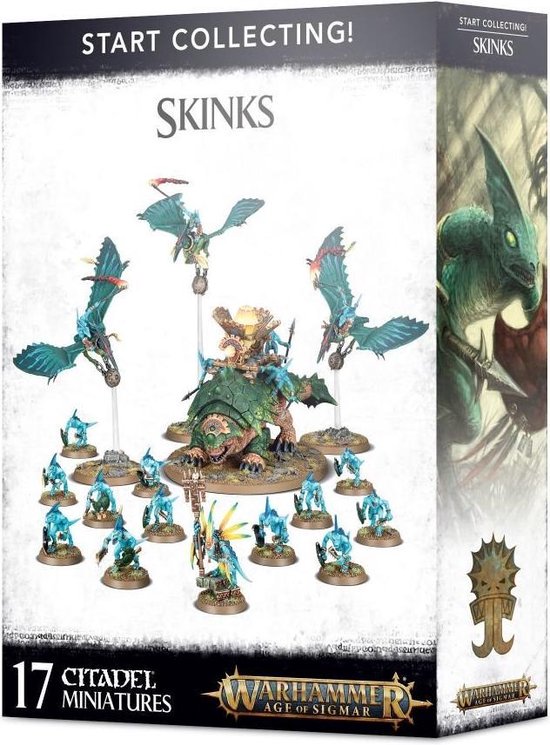 Afbeelding van het spel Start Collecting! Skinks