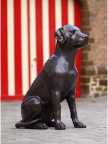 Tuinbeeld - bronzen beeld - Hond - 71 cm hoog
