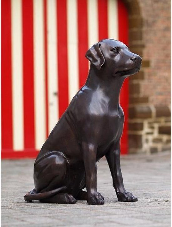 verhouding spleet Knikken Tuinbeeld - bronzen beeld - Hond - 71 cm hoog | bol.com