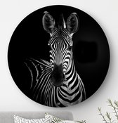 HIP ORGNL Schilderij Zebra - ⌀140cm - Wandcirkel dieren - Zwart wit