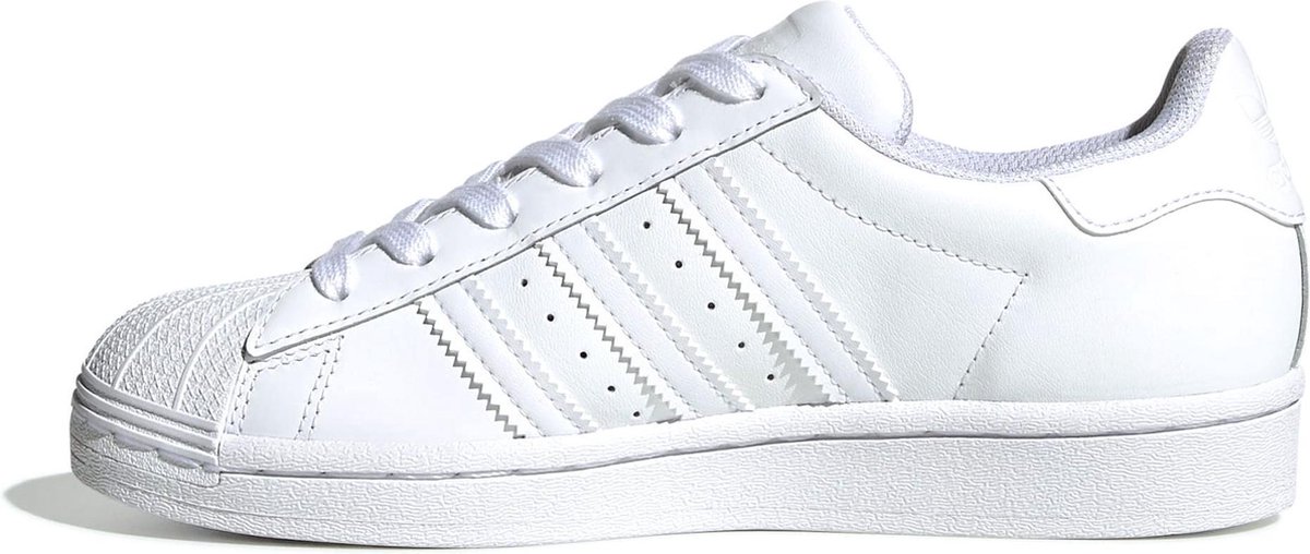 adidas Superstar | Dames, heren, kids | SPORTSHOWROOM