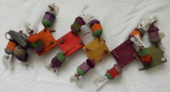 Foto: Puppy met bugs