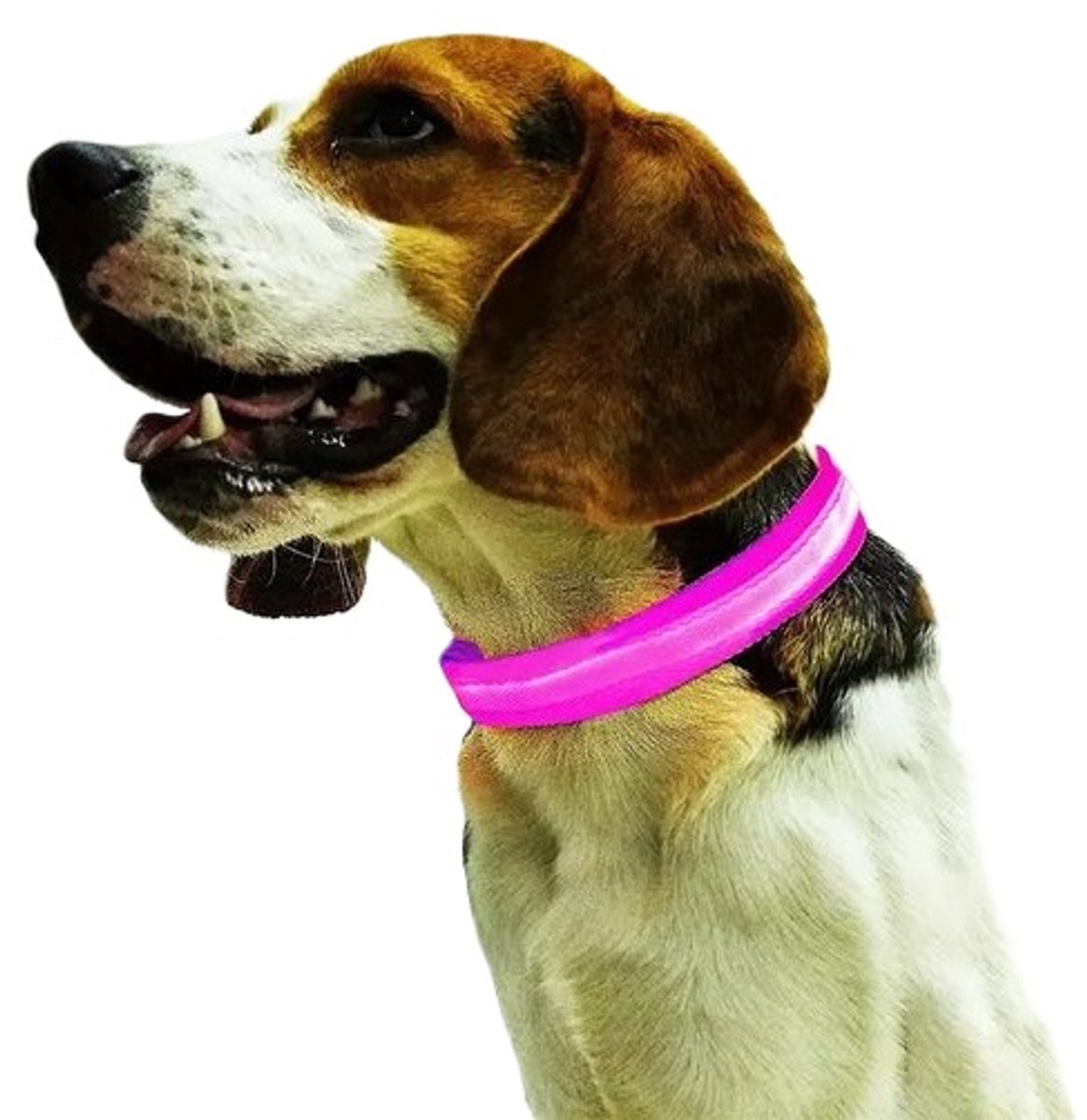 Verstelbare Halsband Voor Hond Met LED Licht I LED Honden Halsband I Nylon I Glow In Dark I Maat L (45 - 52CM) I Roze