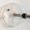 Spinnenval met korte steel, met een spin gevangen op een gestructureerde witte muur.