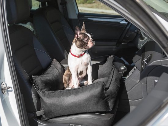 Ergocar Hondenautostoel - Verhoogde Zit Voor Kleine Honden & Katten Tot 6 Kg, Grijs