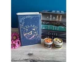 Omslag van Boeken Vaas geïnspireerd bij de A Court Of Thorns and Roses (Acotar) serie van Sarah J. Maas/ Bookpot