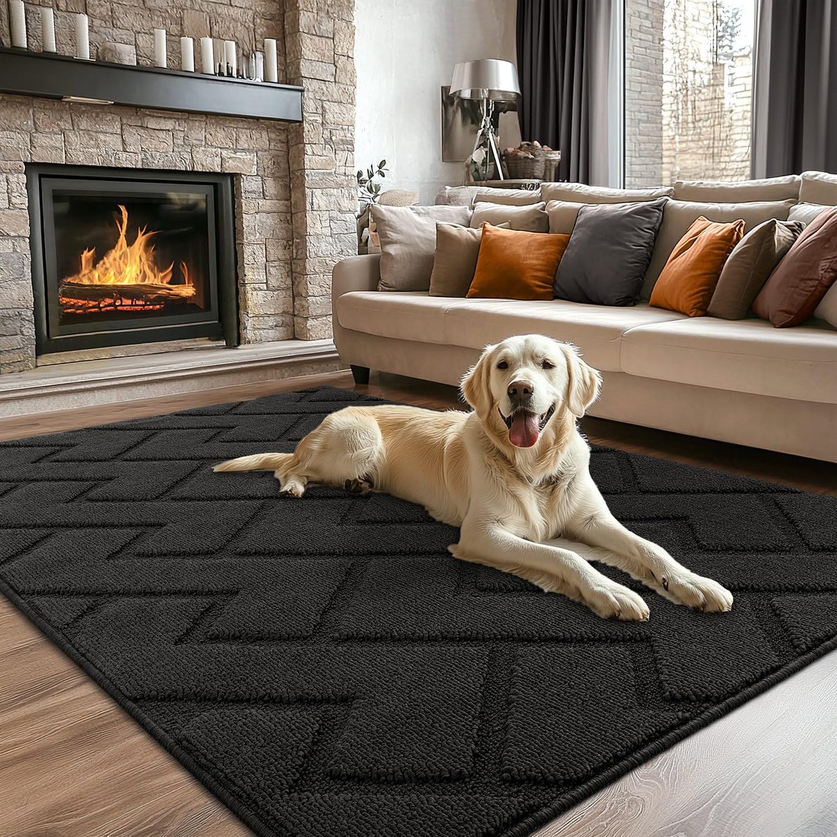 Ibenzoa Robuuste en Multifunctionele Entree Mat van Microvezel met Antislip TPR Rand donkergrijs