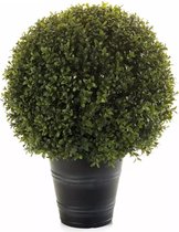 Emerald Kunstplant buxusbollen 53 cm 2 st 417630