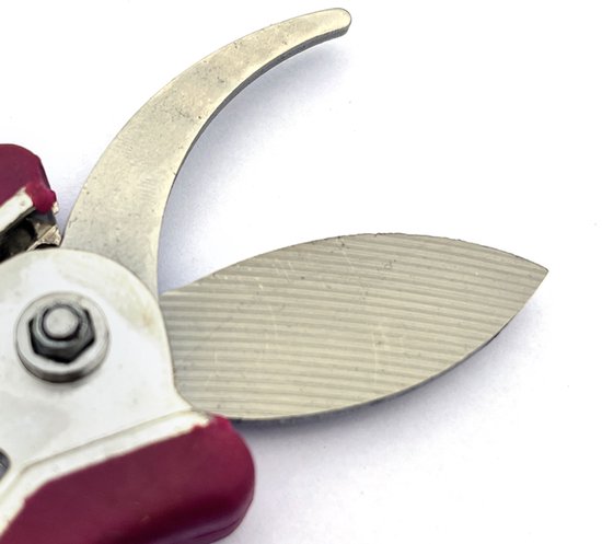 Snoeischaar - Kleintje knip - Lengte van de snoeischaar 15 cm van Dille & Kamille — afbeelding 3