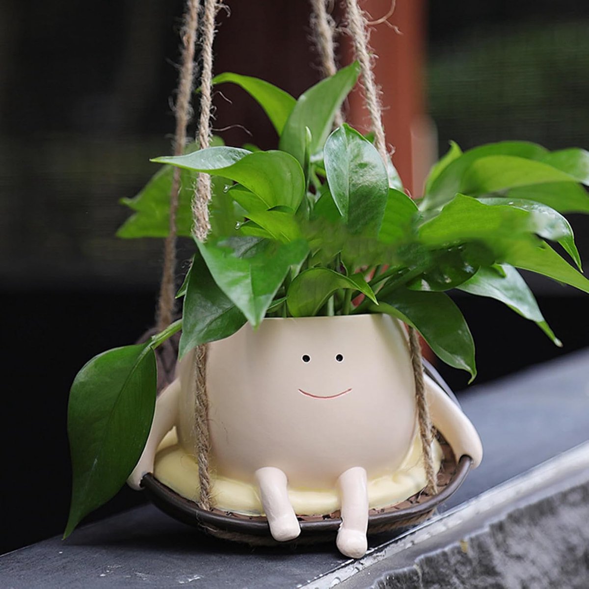 Leuke vetplanten voor binnen - moeder knuffelen baby dubbele plantenpotten, 13,5 cm pot & 7,4 cm cactus pot, interieur buitenplanten/unieke leuke cadeau plantenbakken, beste